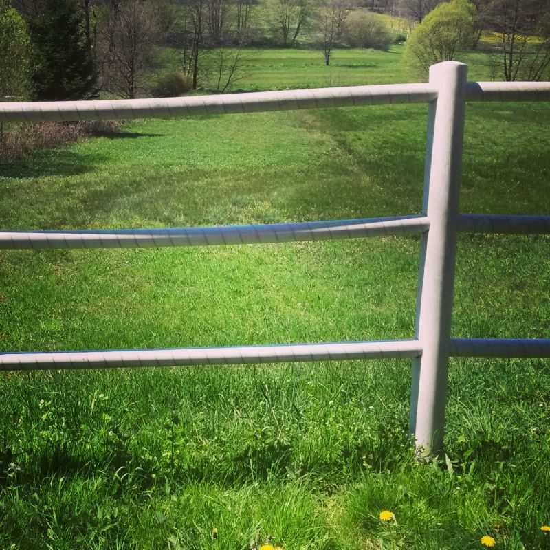 Cattle Fence Replacement