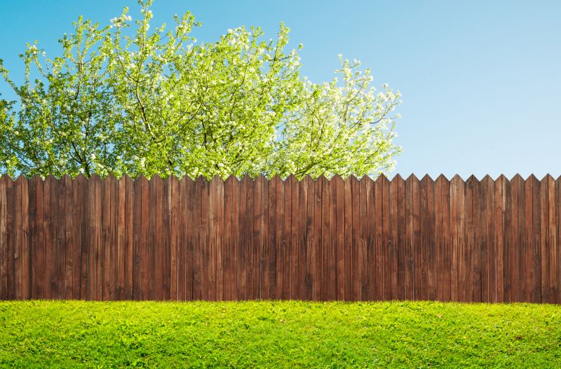 Fence Installation in Early Summer